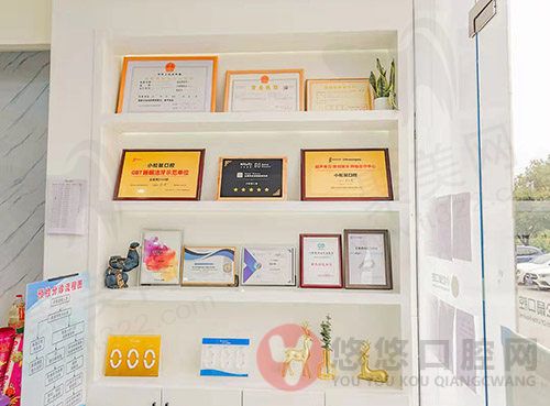 南京江宁小松鼠口腔门诊部荣誉证书